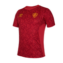 Camisa Fluminense 2024/25 Treino