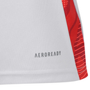 Camisa Internacional 2025/26 Treino Cinza