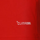 Camisa País de Gales FWC26 Home